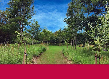  Redwing Glade